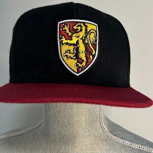 Harry Potter Gryffindor Baseball hat EUC OS